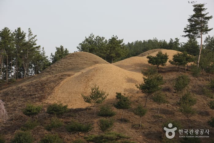 지산동고분군_02