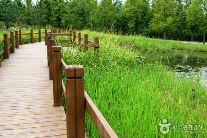 물향기수목원50