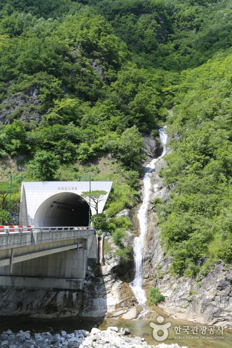 강원_영월_어라연 일원04