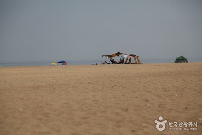 경북_포항_204km 해안 따라 달리는 포항 드라이브 06