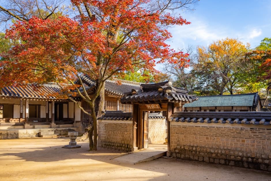 [아시아중동]창덕궁7(낙선재)_일반_1유형