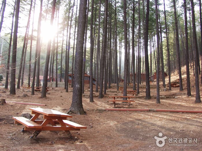 백운산자연휴양림_작은사진03