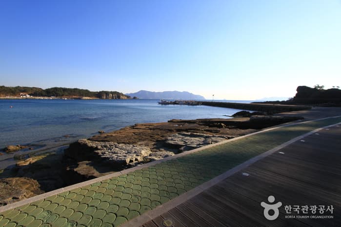 Fossil Dinosaur and Bird Footprints of Goseong (고성 덕명리 공룡과 새발자국 화석 산지)