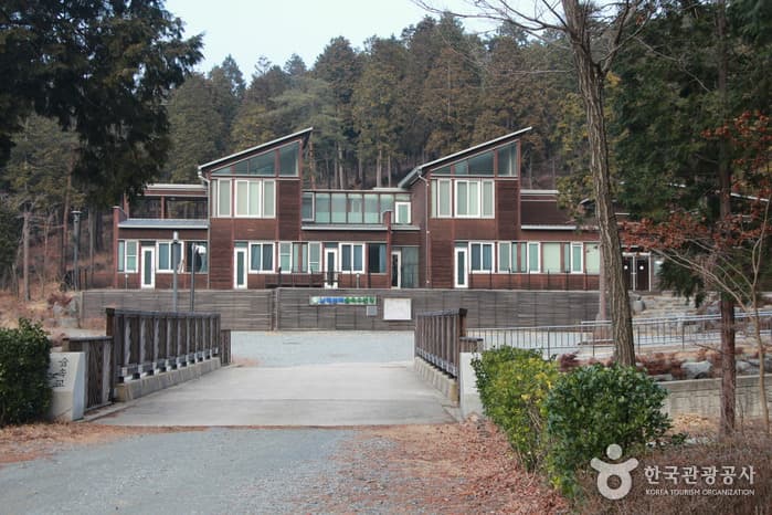 Namhae Pyeonbaek National Recreational Forest (국립 남해편백자연휴양림)