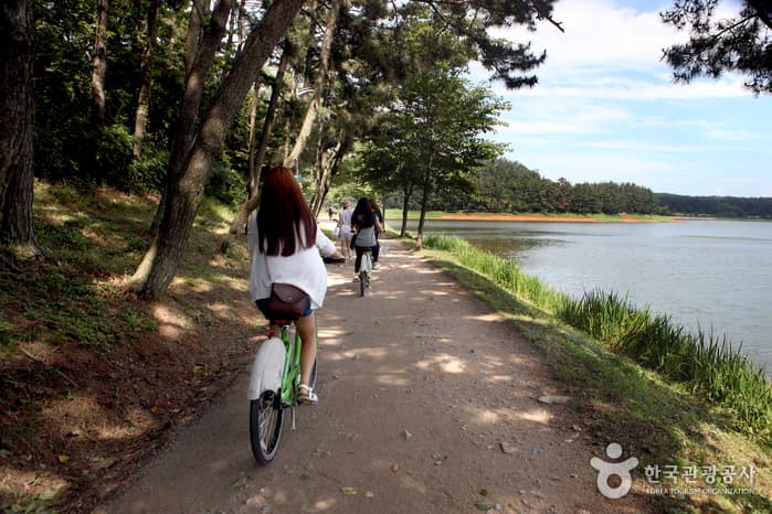 전북_군산_은파호수공원에서 즐기는 군산의 낮과 밤10