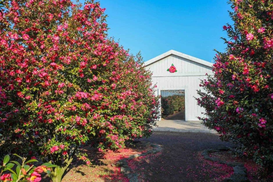 제주_휴애리자연생활공원 (16)