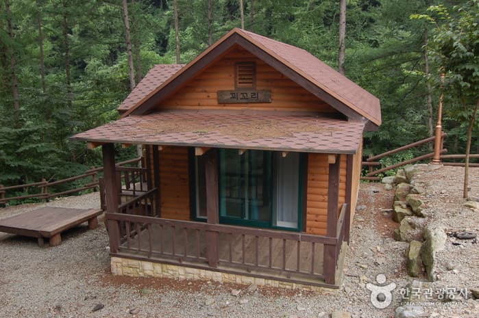 가리산자연휴양림_23