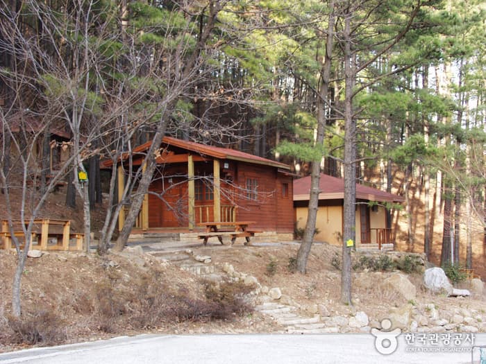 백운산자연휴양림_작은사진04