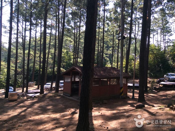 전남_광양_백운산자연휴양림 야영장02