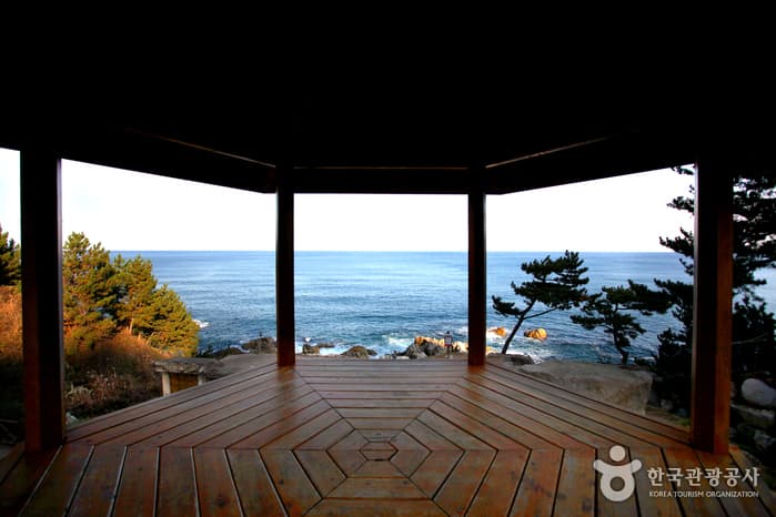 경북_영덕_훌훌 털고 다시 채우는 12월, 영덕 해맞이공원07