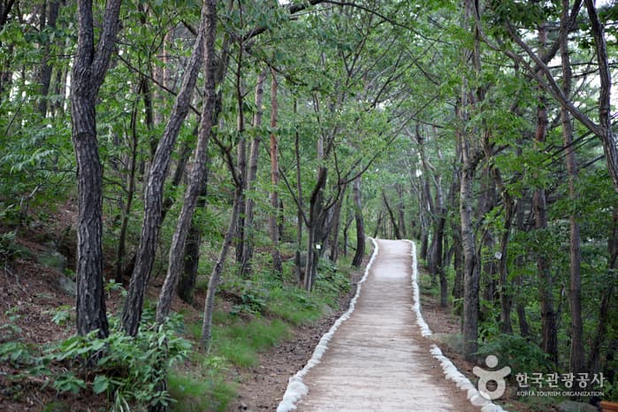 대구_대구앞산공원(앞산전망대)05