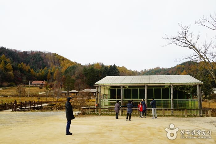 Birthplace of Lee Hyo-seok (이효석 생가)