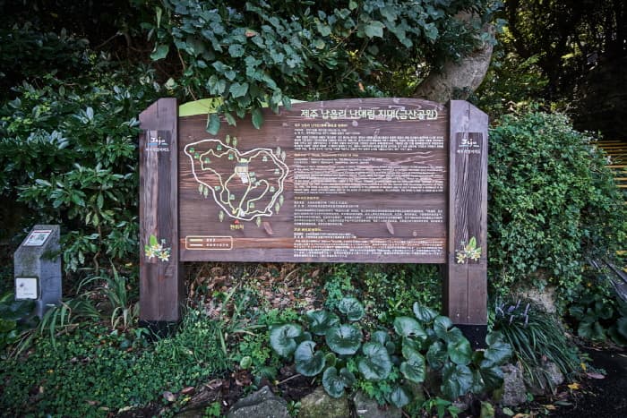 한국문화정보원_금산공원(납읍난대림지대)_003