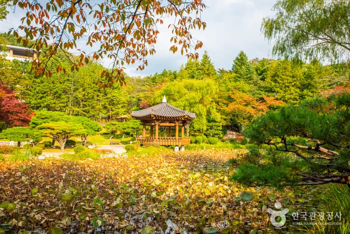 경주보문관광단지