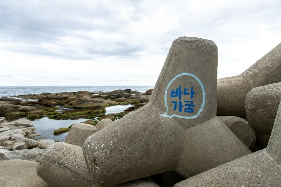 아들바위공원_5