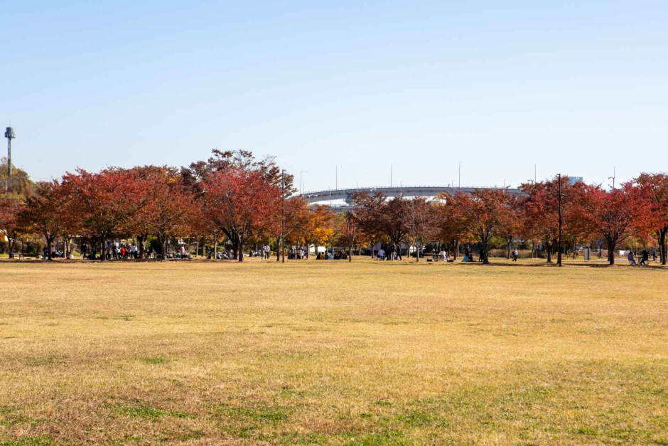 한강시민공원 난지지구(난지한강공원) (5)