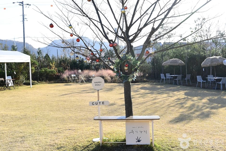 전북_전주_무이사회 (7)