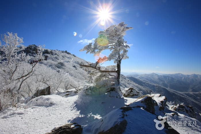 덕유산국립공원_196