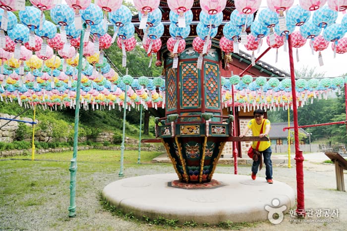 전남_해남_명품 숲길을 따라 걷는 힐링의 시간11