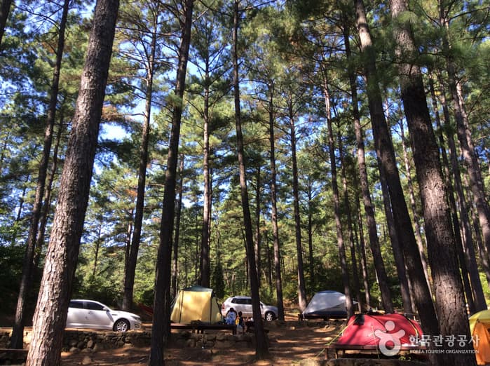 전남_광양_백운산자연휴양림 야영장03