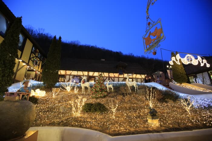 쁘띠프랑스 어린왕자 별빛축제 2018(4)