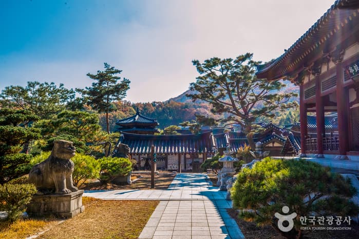 용인 대장금 파크