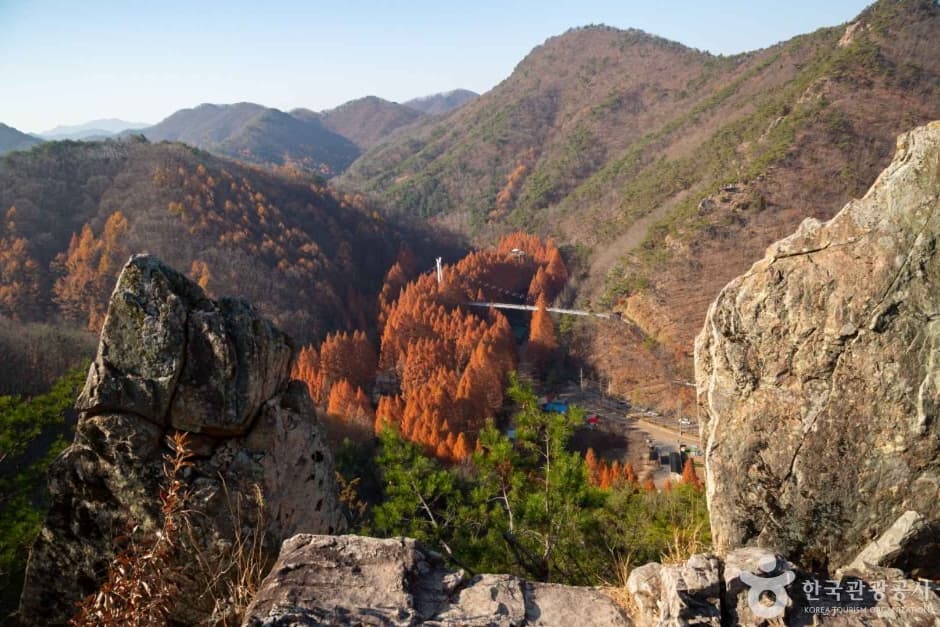 장태산자연휴양림 (5)