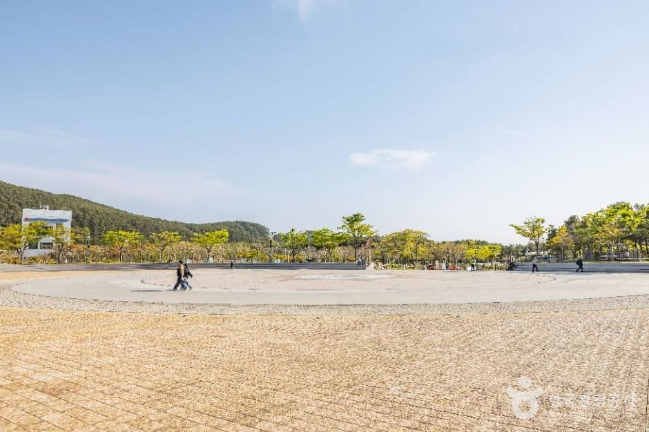 부산_다대포 꿈의 낙조분수 (7)