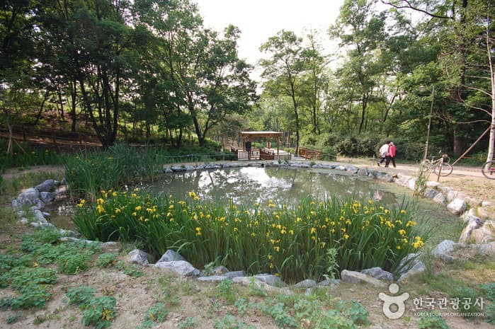 Gwanaksan Ecological Park (관악산 생태공원)