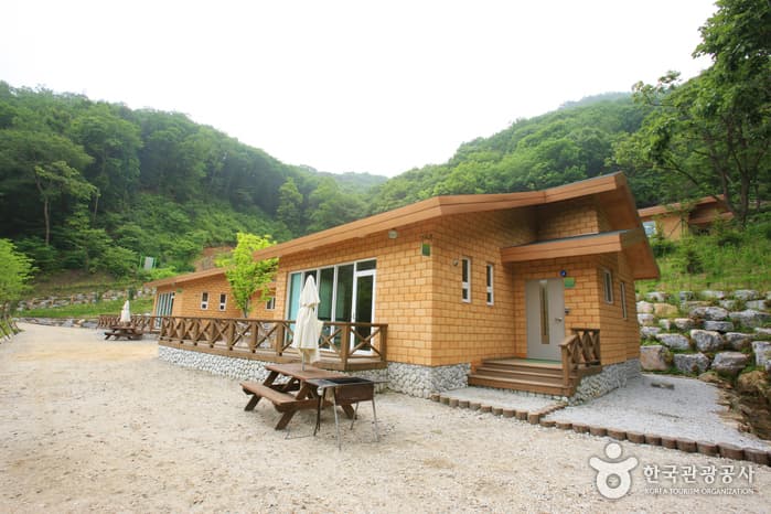 좌구산 자연휴양림 산림욕장_86