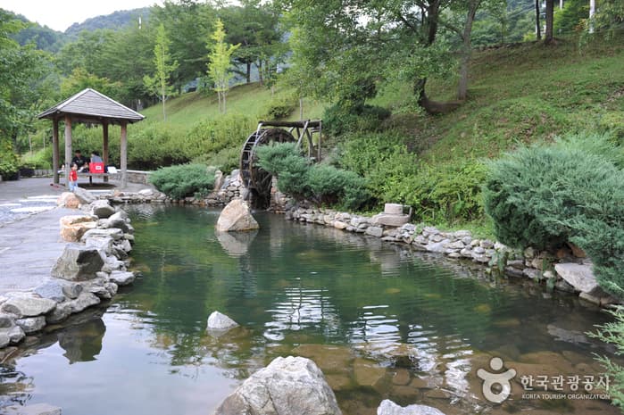 백아산자연휴양림