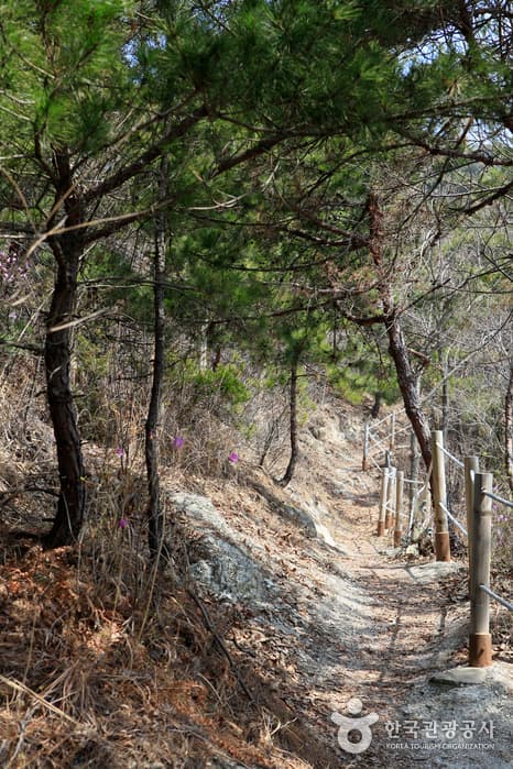 전북_부안_국립변산자연휴양림09