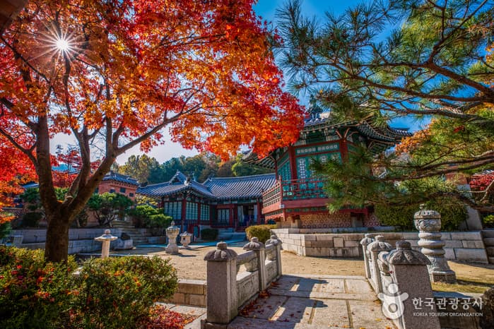 용인 대장금 파크