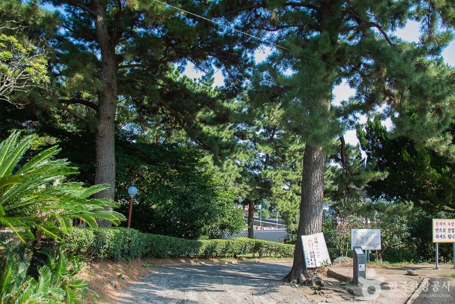 약천사(제주) (1)