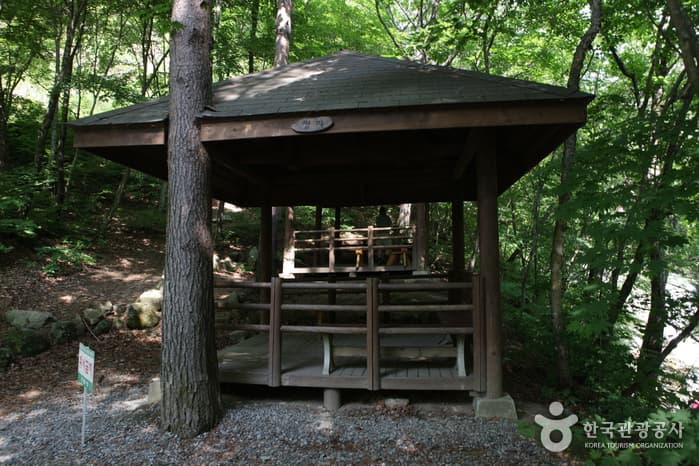 국립방태산자연휴양림_24