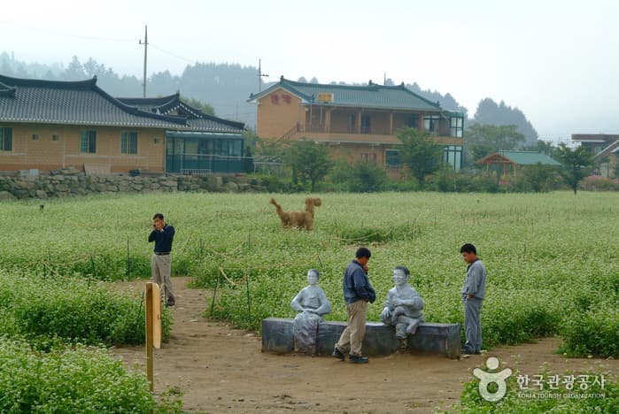 이효석 문화마을_19