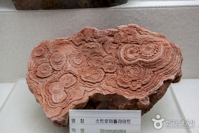 전북_무주_반딧불이 있는 청정 무주 생태여행07