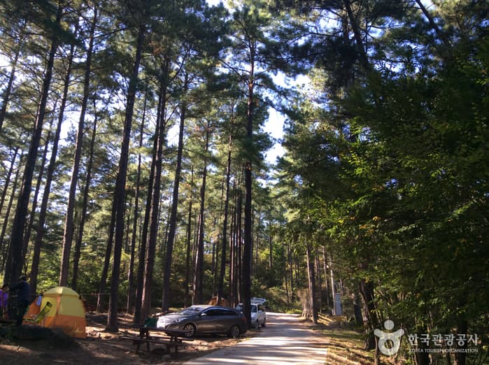 전남_광양_백운산자연휴양림 야영장05