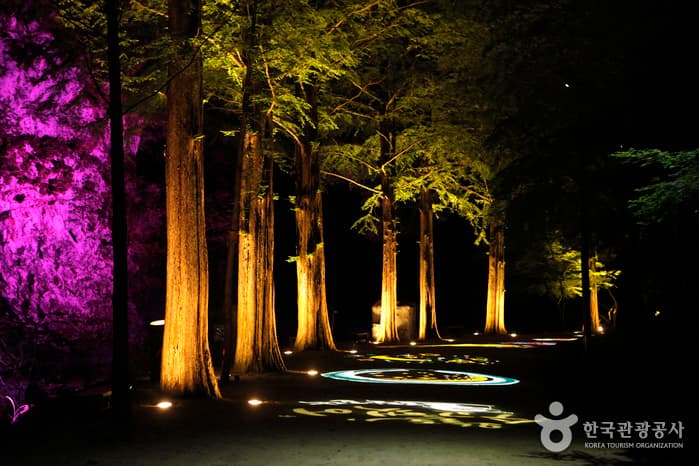 전북_순창_순창의 새로운 여행법, 스릴 혹은 판타스틱! 채계산출렁다리와 강천산단월야행_08