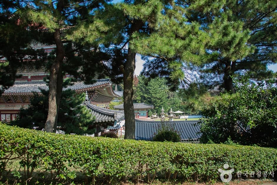 약천사(제주) (2)