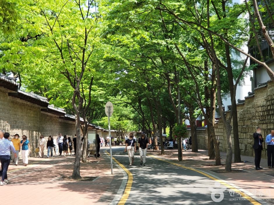 덕수궁돌담길 (3)