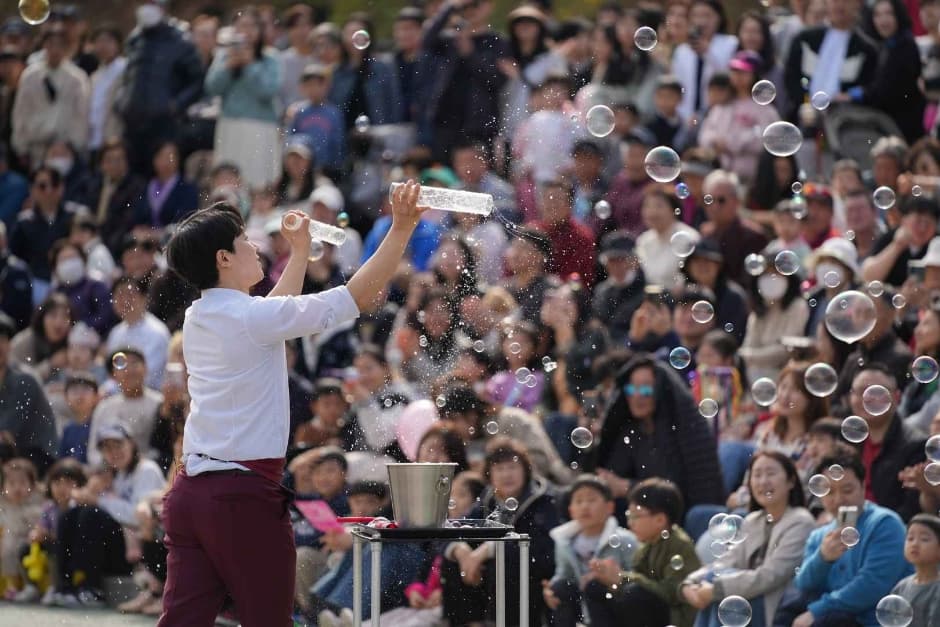 2024 양재천 벚꽃 등(燈) 축제 이미지 2