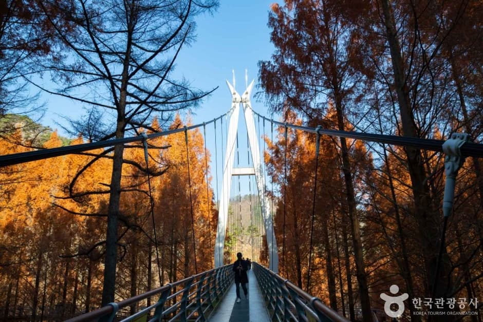 장태산자연휴양림 (7)