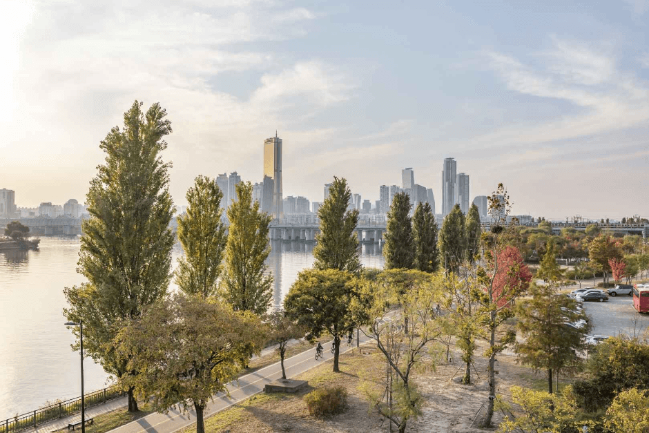 이촌한강공원 (1)