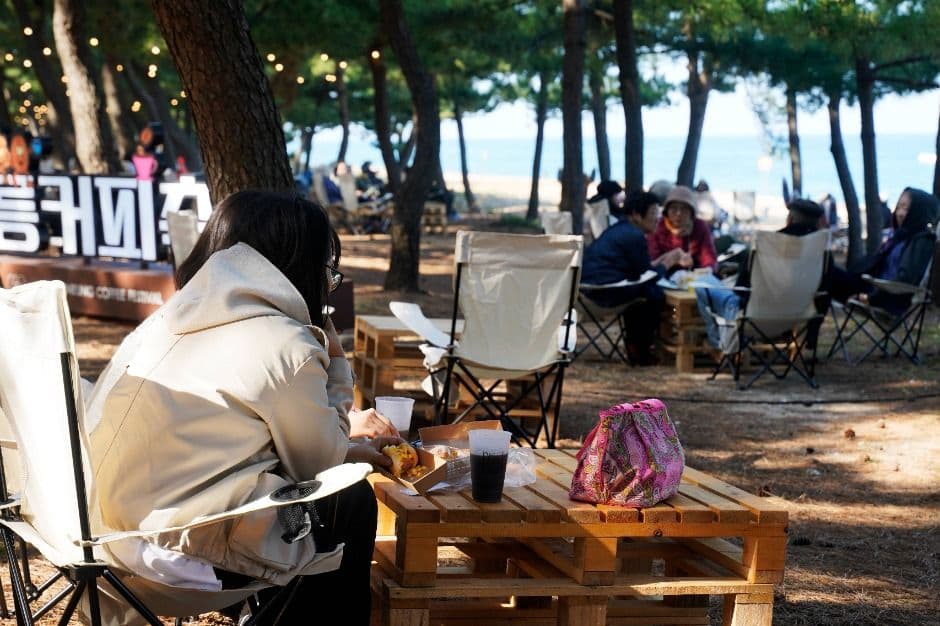 2025 강릉커피축제 1