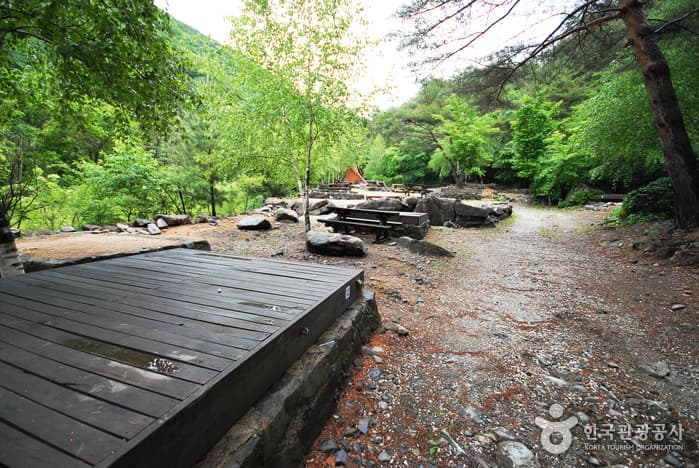가리왕산자연휴양림_02