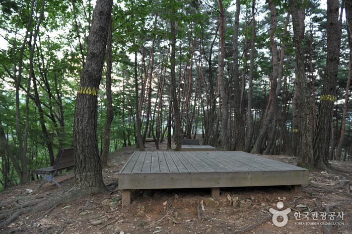 백아산자연휴양림