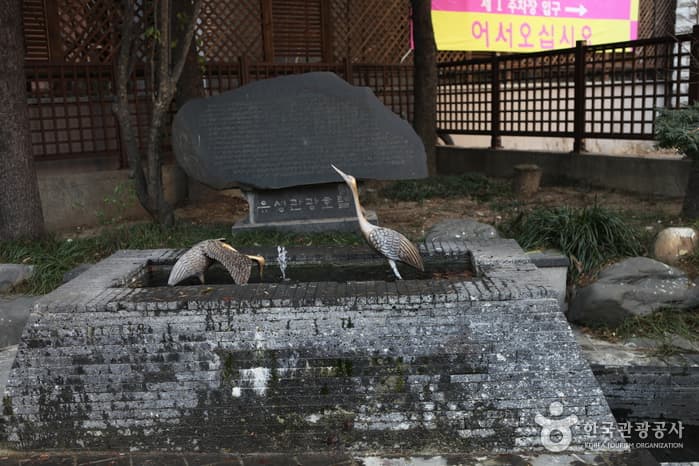 대전_유성온천 9