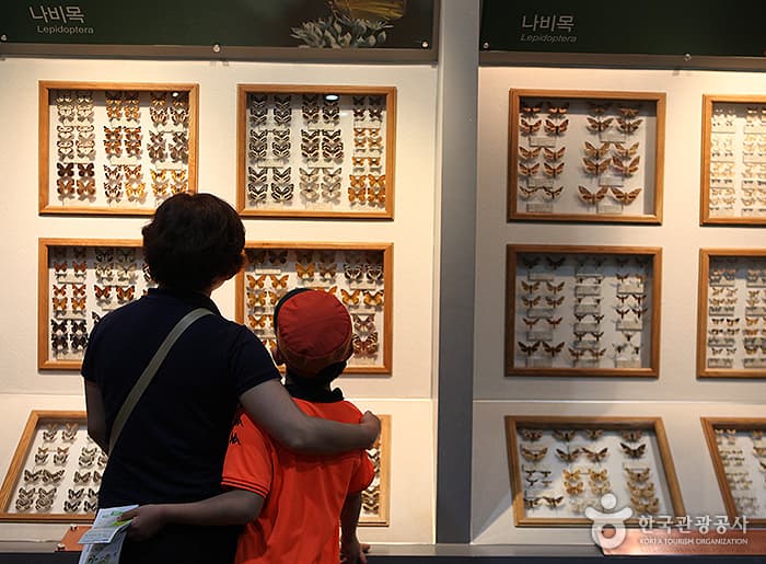 전북_무주_반딧불이 있는 청정 무주 생태여행08