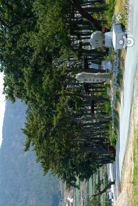 신흥리 해수욕장_03